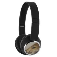 Load image into Gallery viewer, Headphones - Beebop Peeping Kitty Cat
