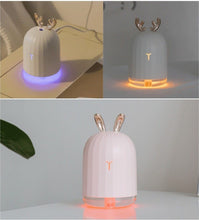 Load image into Gallery viewer, Multi color humidifier